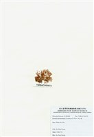 藏品(浪花藻)的圖片